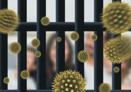 moustiquaire toile anti-pollen