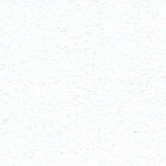 RAL 9016