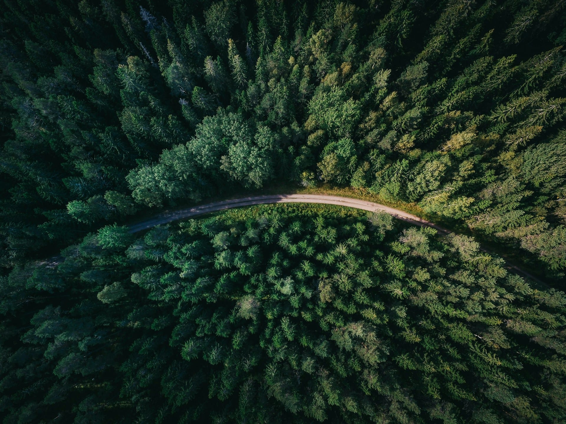 valeur protection de l'environnement